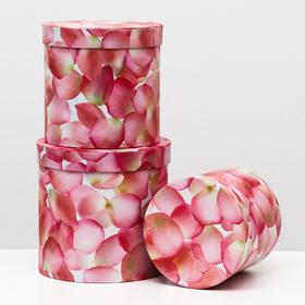 Набор круглых коробок 3 в 1 "Нежно-розовые цветы", 19,5 x 19 - 15,5 x 15 см