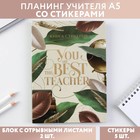 Планинг учителя со стикерами You are the Best TEACHER, А5, твердая обложка - фото 6788607