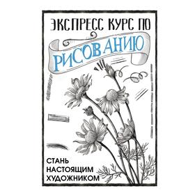 Экспресс курс по рисованию. Стань настоящим художником. Грей Мистер 7480341