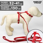 Комплект «Кошка», красный (шлейка 32-41х1 см, поводок 130х0.8 см) 7358631 - фото 3882681