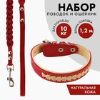 Комплект ошейник (34-45х2 см) и поводок (120х0.8 см) с косой, красный с бежевым - фото 1720565