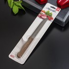 Нож "Atlantik" универсальный 15 см - фото 800589052