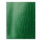 Тетрадь 48 листов в клетку Croco, бумвинил metallic, тиснение, блок офсет, зелёный (5 шт) - фото 802480919