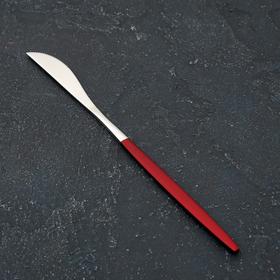 {{photo.Alt || photo.Description || 'Нож столовый Magistro «Блинк», 22 см, цвет серебро, красная ручка, на подвесе'}}