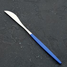 {{photo.Alt || photo.Description || 'Нож столовый Magistro «Блинк», 22 см, цвет серебро, синяя ручка, на подвесе'}}