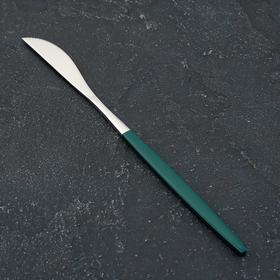{{photo.Alt || photo.Description || 'Нож столовый Magistro «Блинк», 22 см, цвет серебро, зелёная ручка, на подвесе'}}