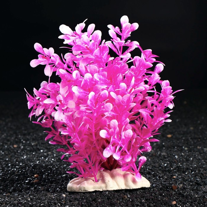 Растение искусственное аквариумное, 19 см - фото 3496767