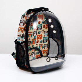 Рюкзак для переноски животных прозрачный "Совинные мордочки", 31 х 28 х 42 см