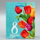 Пакет ламинированный вертикальный «Тюльпаны», S 12 × 15 × 5,5 см 6631889