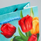 Пакет ламинированный вертикальный «Тюльпаны», S 12 × 15 × 5,5 см 6631889