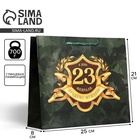 Пакет ламинированный горизонтальный «С 23 февраля», ML 27 × 23 × 8 см 6631911