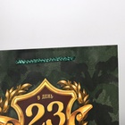 Пакет ламинированный горизонтальный «С 23 февраля», ML 27 × 23 × 8 см 6631911