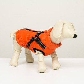 Куртка для собак со шлейкой,  размер 8 (ДС 23 см, ОГ 30 см, ОШ 22 см), коралловая