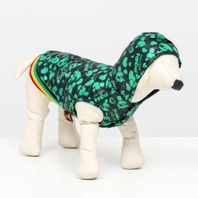 Курточка для собак "Пятнашки", размер 1 (ДС 17, ОШ 20, ОГ 27 см), зелёная