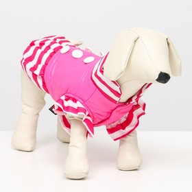 Курточка для собак с воланами, размер 2 (ДС 23,ОШ 26, ОГ 33 см), розовая