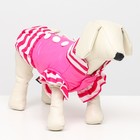 Курточка для собак с воланами, размер 4 (ДС 33,ОШ 35, ОГ 45 см), розовая - фото 3958827