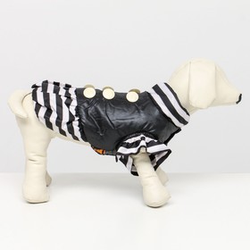 Курточка для собак с воланами, размер 2 (ДС 23,ОШ 26, ОГ 33 см), чёрная