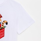 Пижама женская новогодняя  (футболка и шорты) KAFTAN "Тигры" р.52-54 - фото 800361779