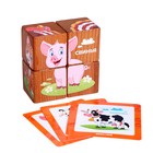 Набор кубиков обучающий "Домашние животные" (4кубика, 3 двусторонние карточки, развивающее методическое пособие) - фото 107702119