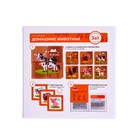 Набор кубиков обучающий "Домашние животные" (4кубика, 3 двусторонние карточки, развивающее методическое пособие) - фото 107702123