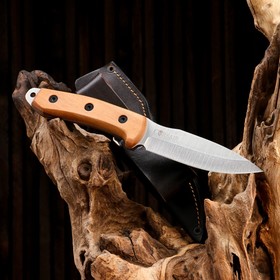 Нож охотничий "Корсар" с ножнами, сталь - AUS8, рукоять - дерево