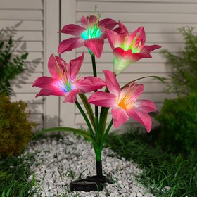 Светильник садовый на солнечной батарее "Лилия розовая" 80 см, 4 LED, МУЛЬТИ