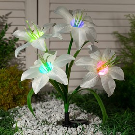 Светильник садовый на солнечной батарее "Лилия белая" 80 см, 4 LED, МУЛЬТИ