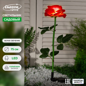 Садовый светильник на солнечной батарее «Роза красная», 75 см, 5 LED, свечение белое