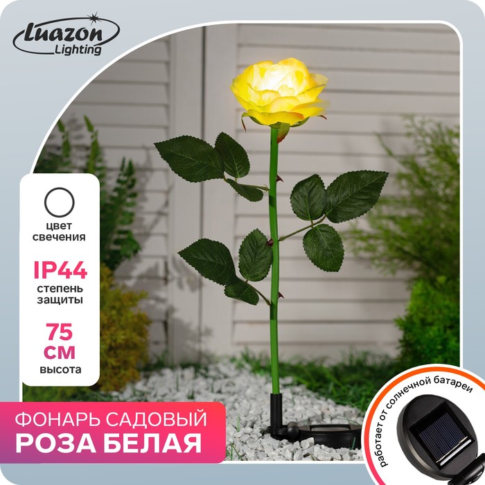 {{photo.Alt || photo.Description || 'Фонарь садовый на солнечной батарее &quot;Роза белая&quot; 75 см, 1 LED, БЕЛЫЙ'}}