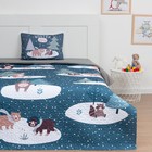 Набор Этель 1,5 сп  , My winter, покрывало 145х210 см, наволочка 40х60 см,  микрофибра - фото 800387705