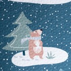 Набор Этель 1,5 сп  , My winter, покрывало 145х210 см, наволочка 40х60 см,  микрофибра - фото 800387707