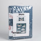 Набор Этель 1,5 сп  , My winter, покрывало 145х210 см, наволочка 40х60 см,  микрофибра - фото 800387709