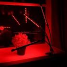 Фитосветильник светодиодный, 36 Вт, 250 мм, IP66, 5 В, USB, биколорный, прищепка, с таймером 7013637