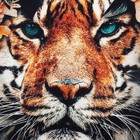 Набор в мешочке "Beautiful" полотенце 40х73см, формочки для запекания 3 шт - фото 800393171