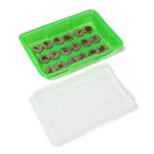 Мини-парник для рассады: торфяная таблетка d = 4,2 см (18 шт), парник 35,5 × 24,5 × 6 см, без вставок, зелёный 7330549