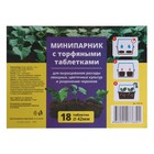 Мини-парник для рассады: торфяная таблетка d = 4,2 см (18 шт), парник 35,5 × 24,5 × 6 см, без вставок, зелёный 7330549