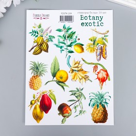 Набор стикеров "Botany exotic" 10 шт