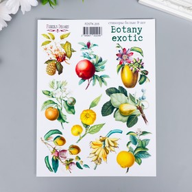 Набор стикеров "Botany exotic" 9 шт