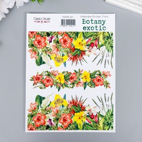 Набор стикеров "Botany exotic" 3 шт