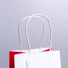 Пакет подарочный крафтовый «Love», 12 × 21 × 9 см 7150707