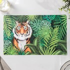Сервировочная салфетка Доляна «Тигр», 26×41 см