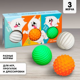 Набор мячей для собак «Для любимчика», 3 шт.