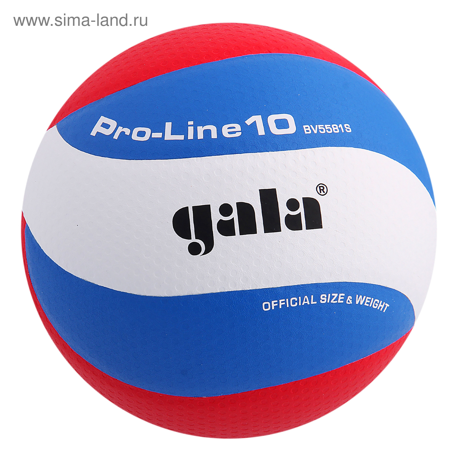 Мяч волейбольный Gala Pro-Line10, BV5581S, размер 5 (832779) - Купить ...