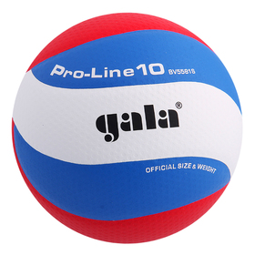 Мяч волейбольный Gala Pro-Line10, BV5581S, размер 5, клееный