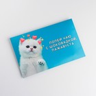 Коробка для шоколада «Котик», 22 × 12 см - фото 6815756