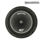 Акустика Dynamic State CM-L16.1v4N Custom Series 4 Om 7561955 - фото 106010