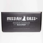 Акустика RUSSIAN BASS B200RBF 150/300 Вт (4 Ом) 7561964 Акустика RUSSIAN BASS B200RBF 150/300 Вт (4 Ом) 7561964