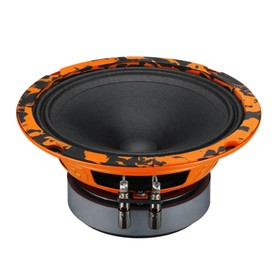 Акустика-СЧ DL Audio Gryphon Pro 165 7562112
