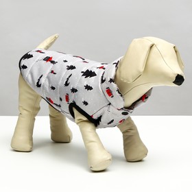 Куртка для собак "Полянка", размер S (ДС 25, ОШ 28, ОГ 40 см), белая