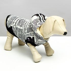 Куртка для собак "Газета", размер XL (ДС 38, ОШ 48, ОГ 52 см), бело-чёрная